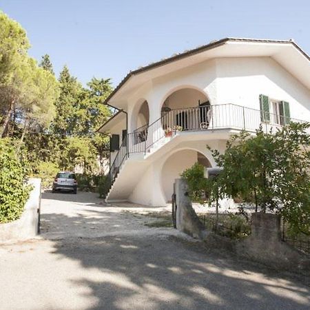 Villa Sibilla - Goelba Procchio  Exterior foto